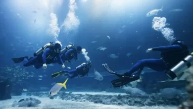 غواصی در چابهار و تجربه شگفتیهای زیر آب دریای عمان