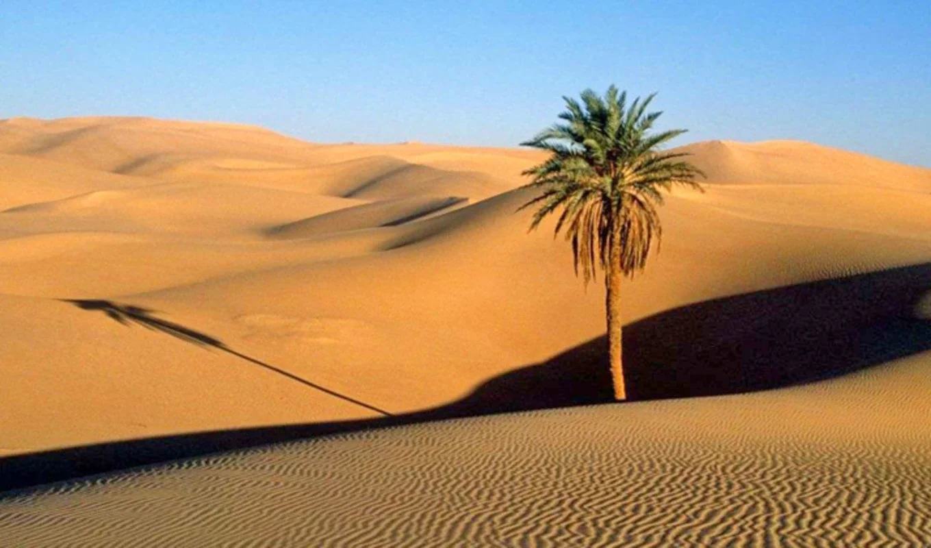 تور کویرگردی؛ بهترین زمان سفر و نکات ضروری