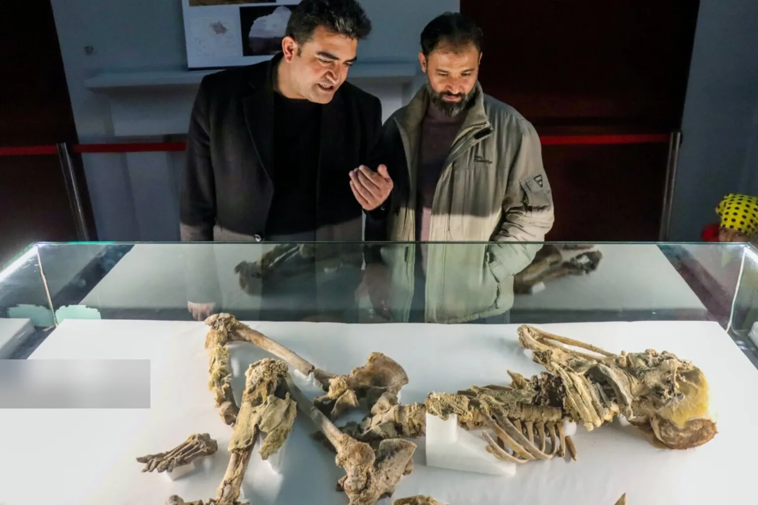 موزه باستان شناسی و مردان نمکی زنجان؛ رازهای عمارت ذوالفقاری
