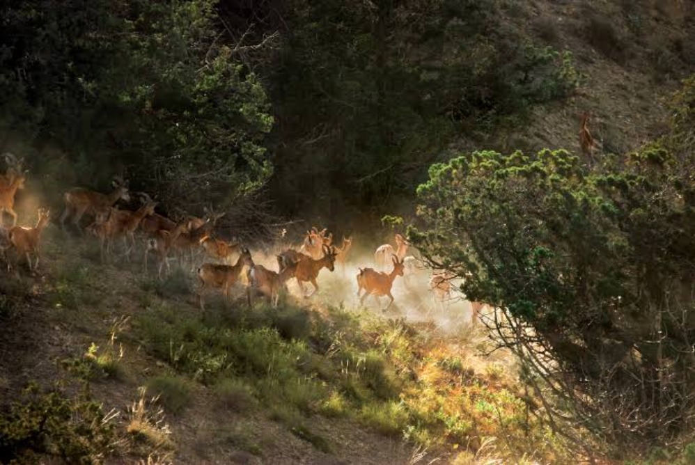 جاذبه های گردشگری مغولستان