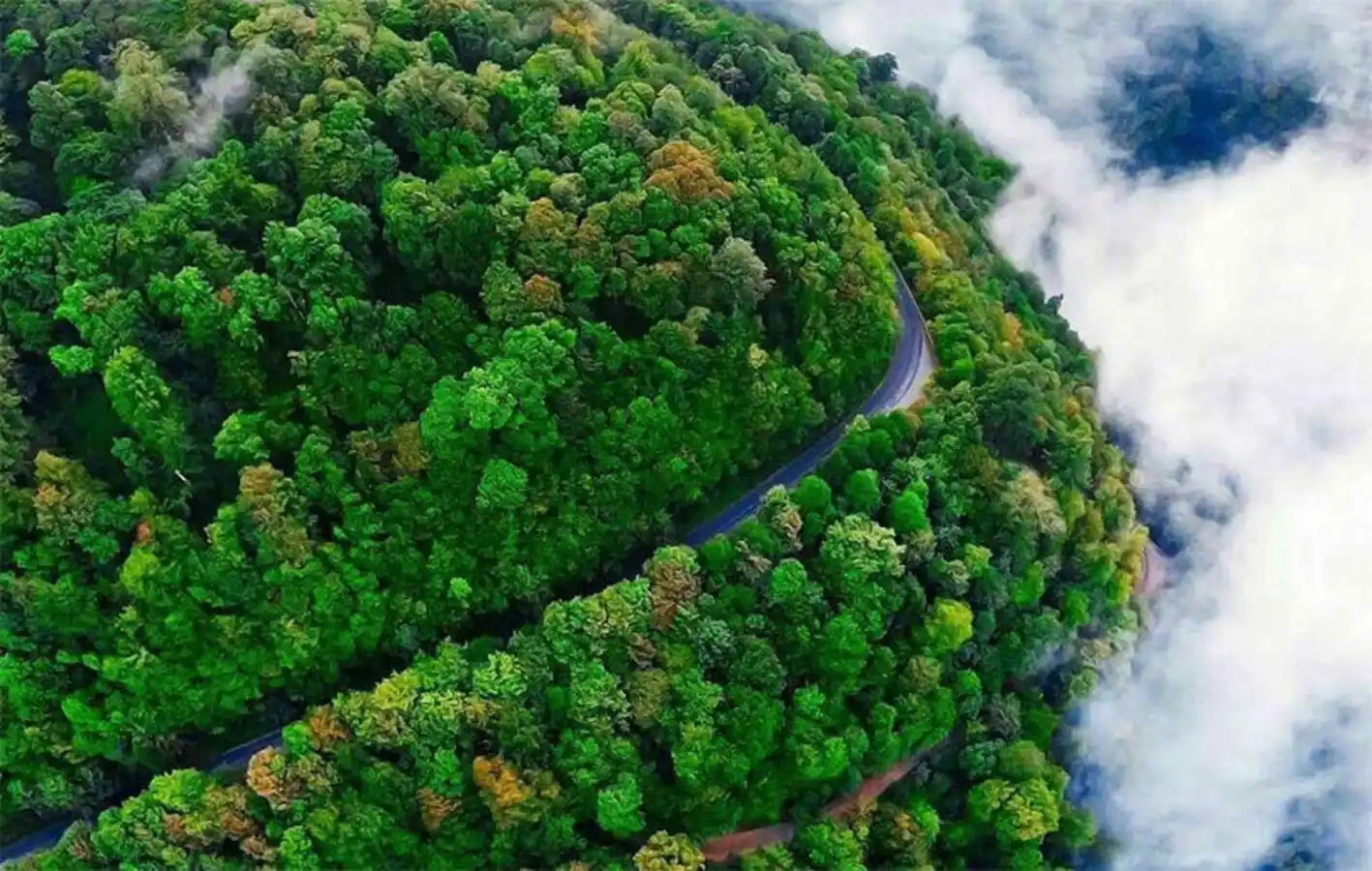 راهنمای جامع سفر تابستانی ۱۴۰۵؛ معرفی مقصدهای خنک و ییلاقی ایران